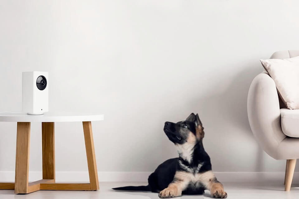 how to choose the best indoor security camera