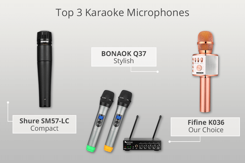 5 Best Karaoke Microphones in 2024
