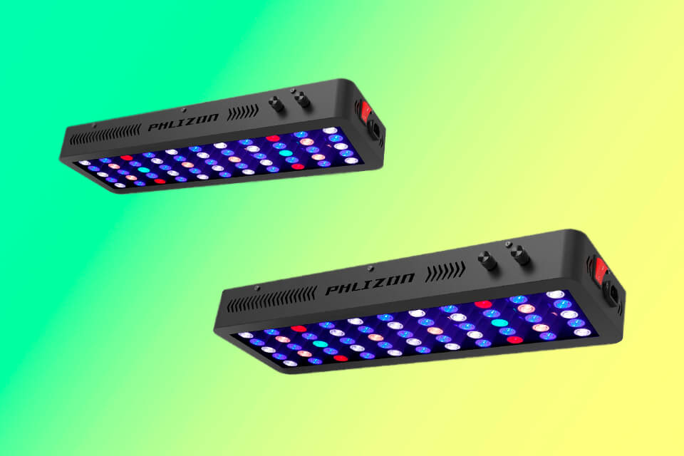 11 Best Lights For Coral Growth in 2024