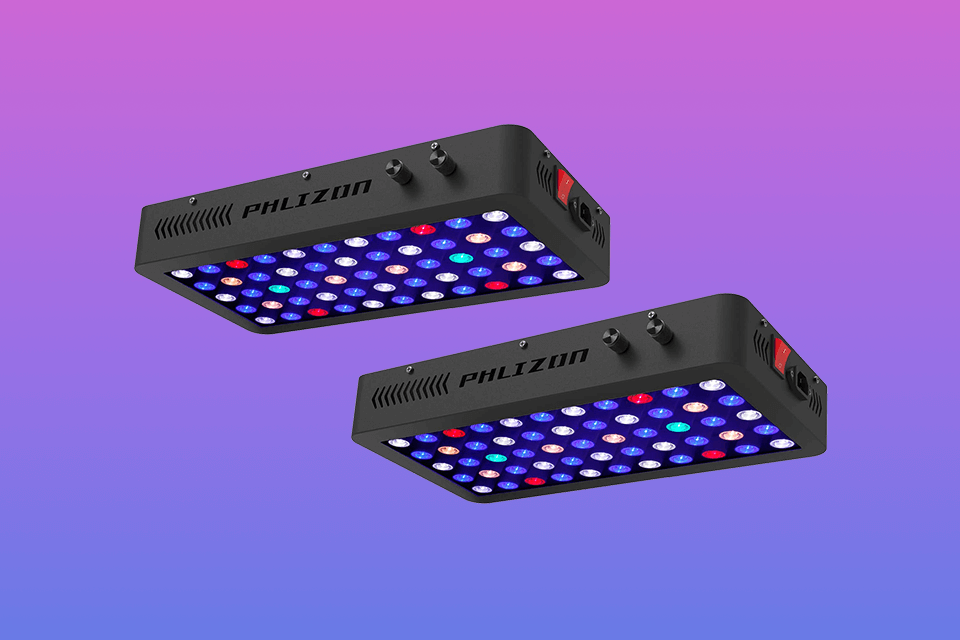 12 Best Lights For Reef Tank in 2024