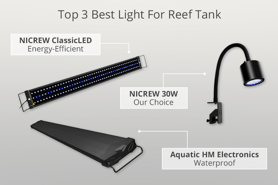 12 Best Lights For Reef Tank in 2024