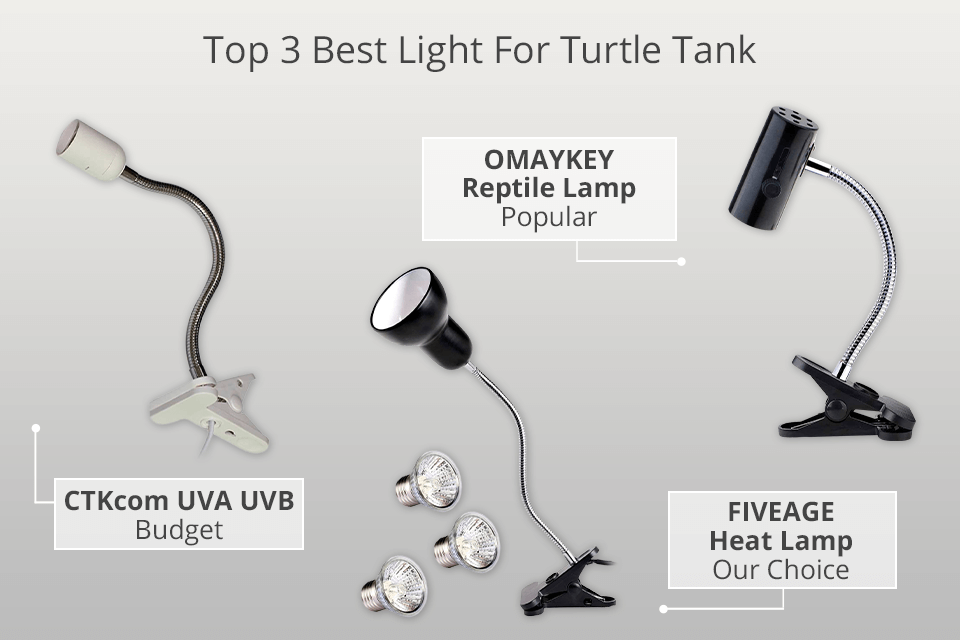 best lights for turtles