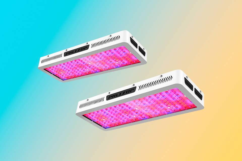 6 Best Lights For Vegetative Growth in 2024