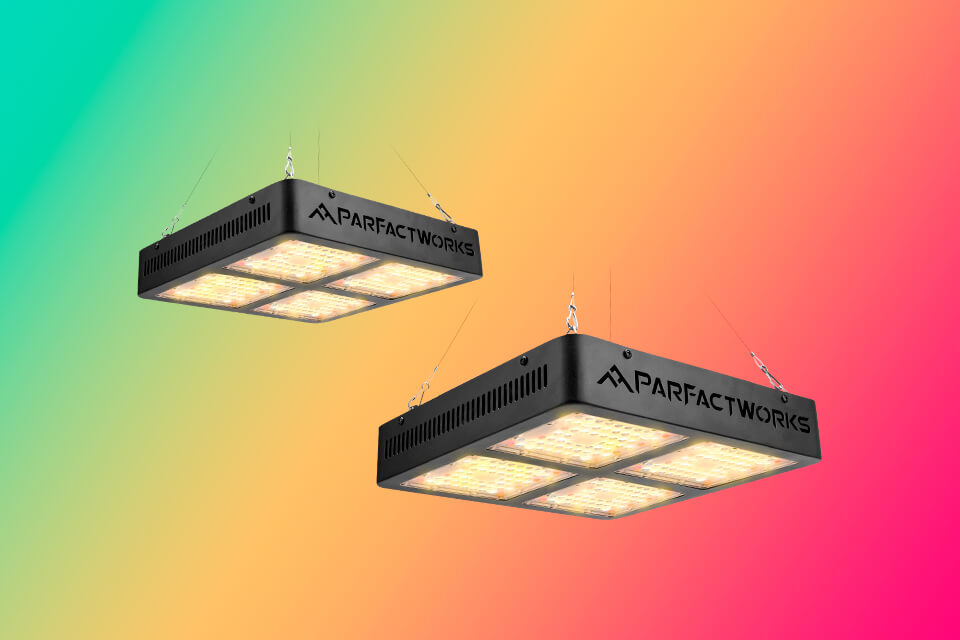 6 Best Lights For Vegetative Growth in 2024