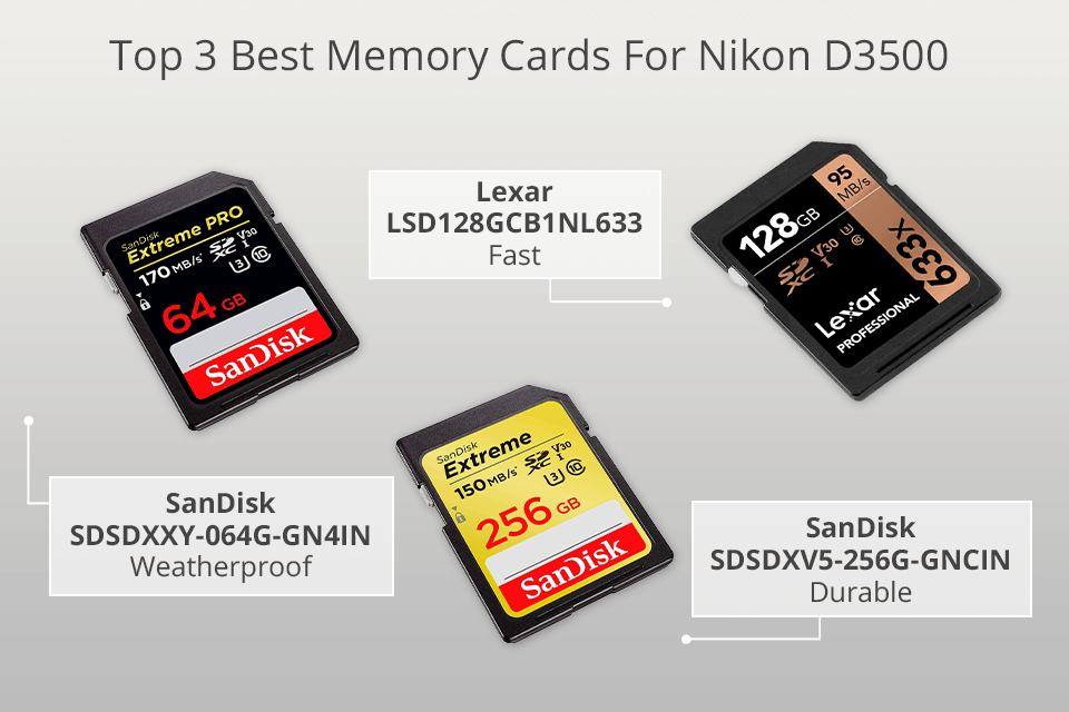 Best Memory Cards For D3500 in 2023