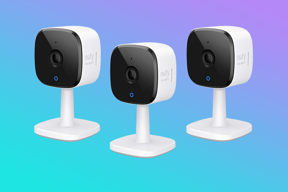 how to choose the best pet camera