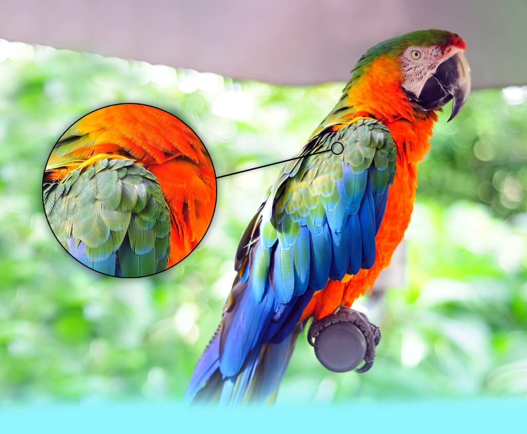 best photo enlargement software
