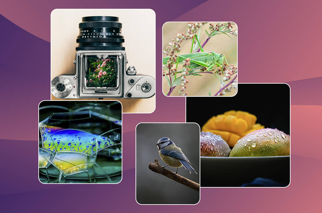best random tools random picture generator