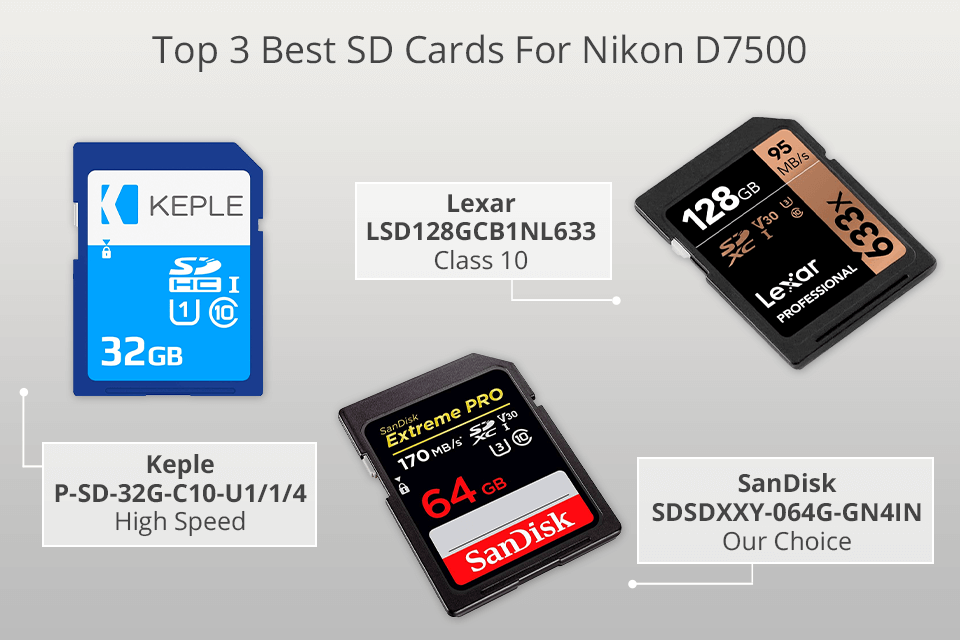 6 SD Cards For Nikon 2023