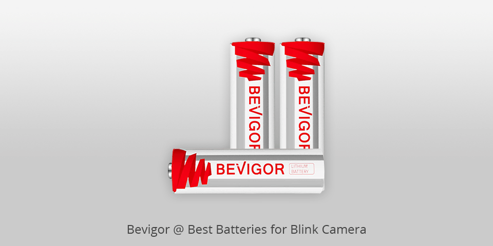 bevigor batteries for blink camera