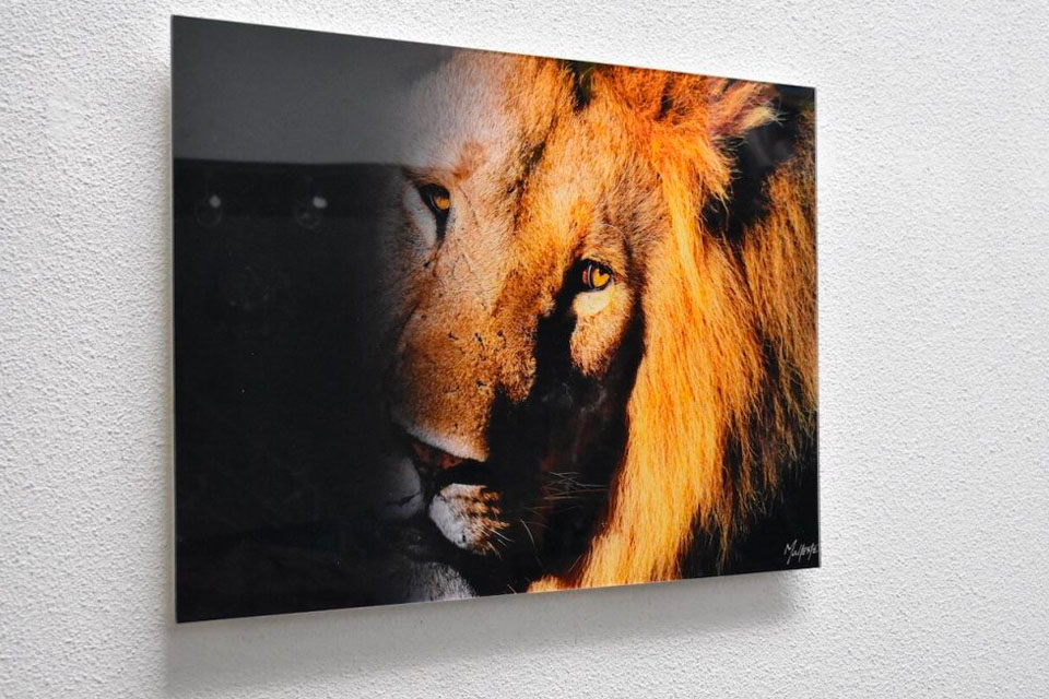 big acrylic best acrylic photo printing service
