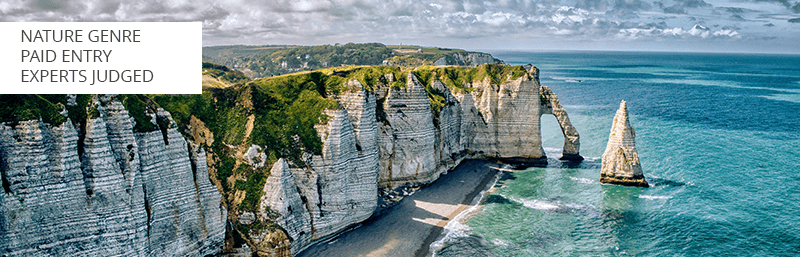 bigpicture natural photo competition for beginners