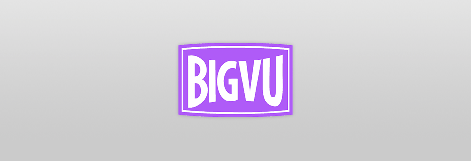 bigvu logo