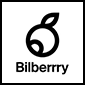 bilberrry web development service logo