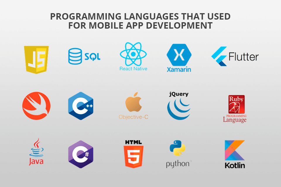 BinaryFolks - Custom Software Development Company Review