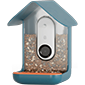 bird buddy smart feeder camera for birds