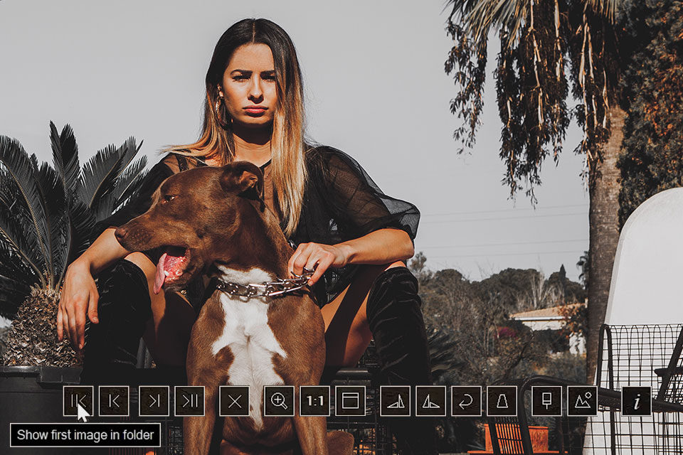 bitrecover jpeg viewer interface