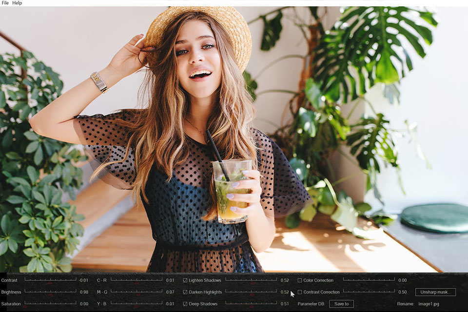 bitrecover jpeg viewer preview options