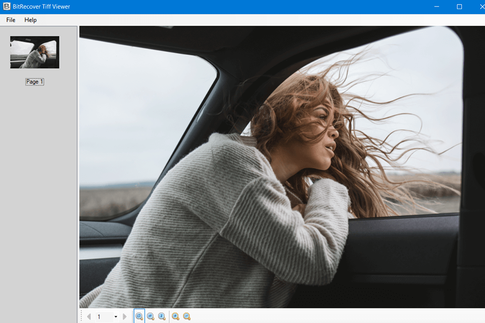 bitrecover tiff viewer interface