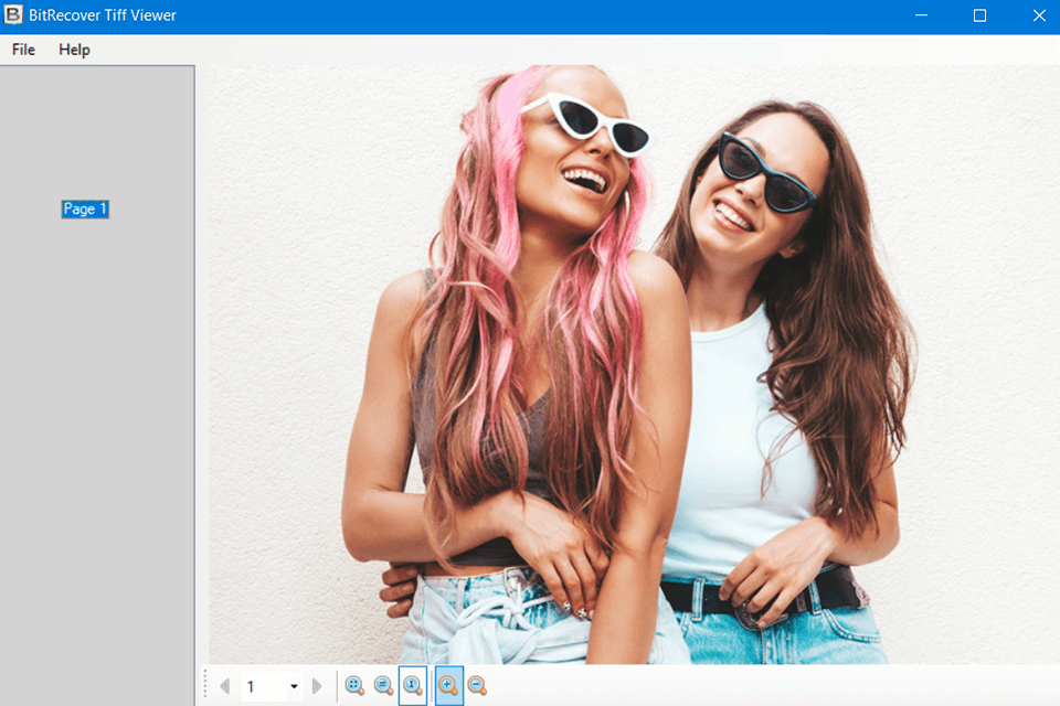 bitrecover tiff viewer zoom in zoom out function