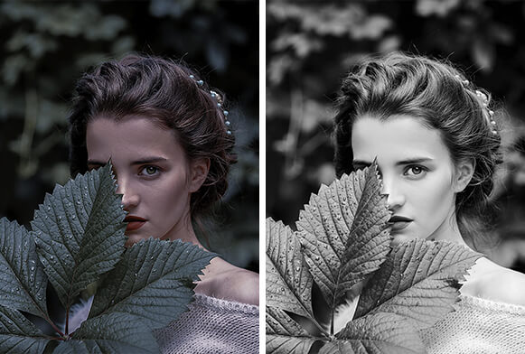 black & white retouch photoshop action free download