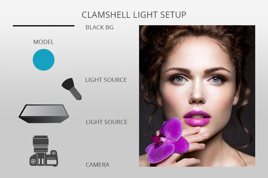 إضاءة خلفية سوداء صدفي