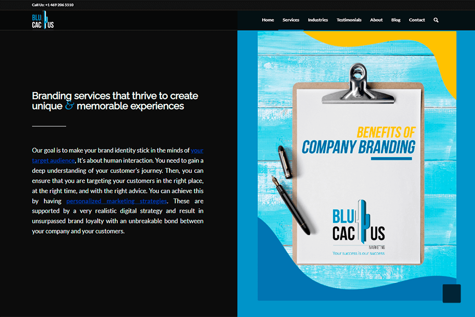 واجهة وكالة العلامة التجارية بلو كاكتس