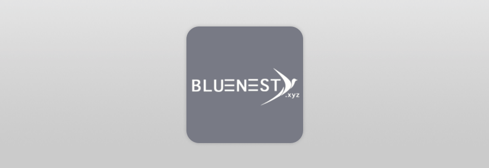 bluenest digital marketing agency logo