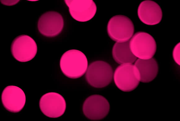 Bokeh Overlays For Photoshop