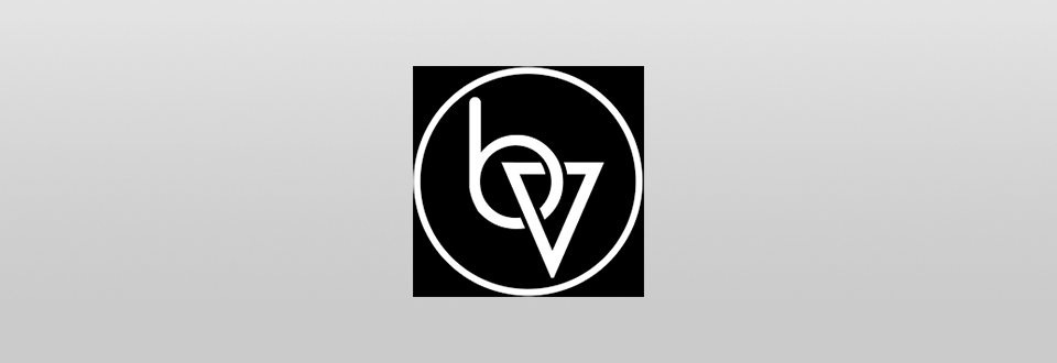 brand vision marketing agency logo