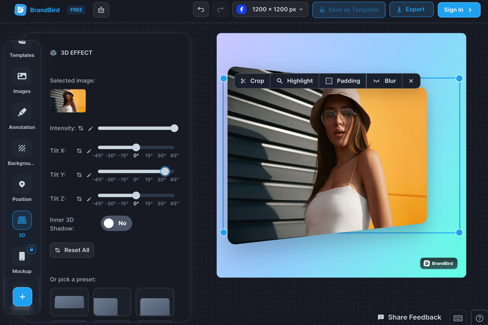 brandbird editor 3d effect