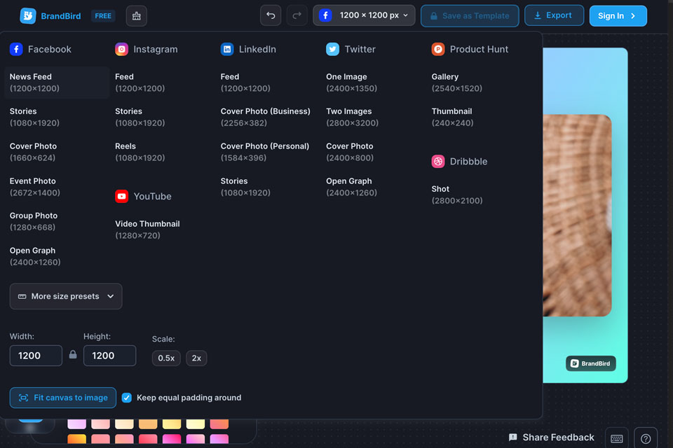 brandbird editor social media sizes
