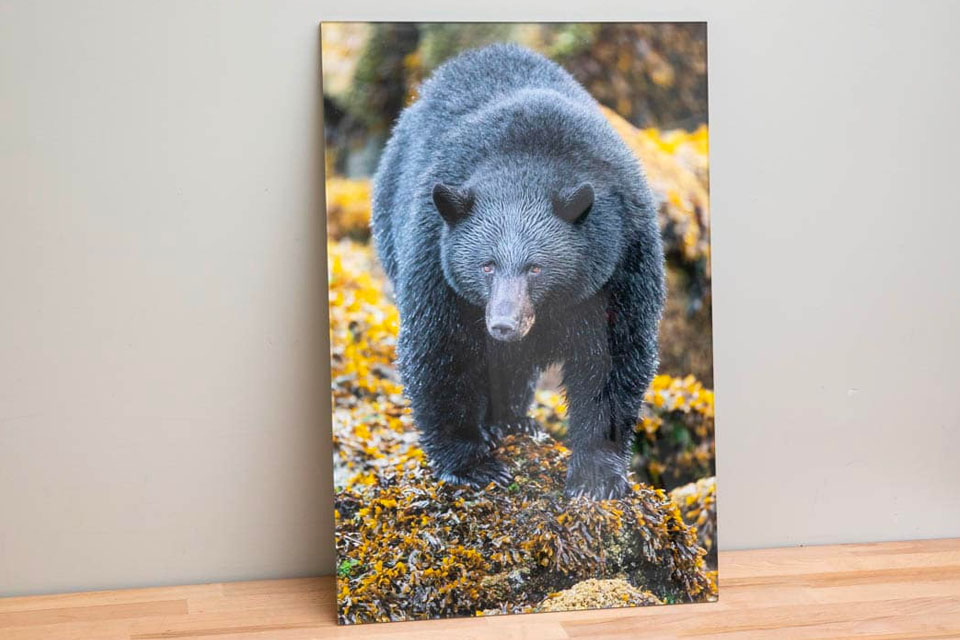 bumblejax best acrylic photo printing service