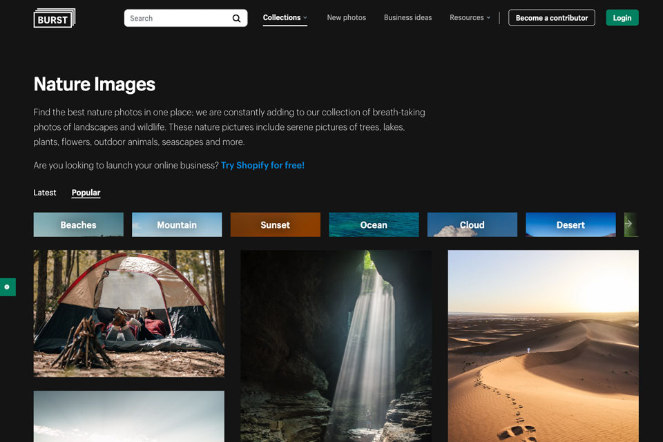 burst pexel alternative interface