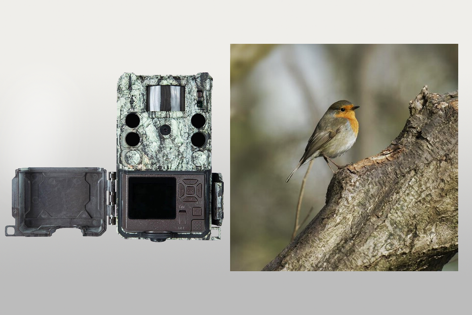 bushnell core s-4k camera for birds lifestyle