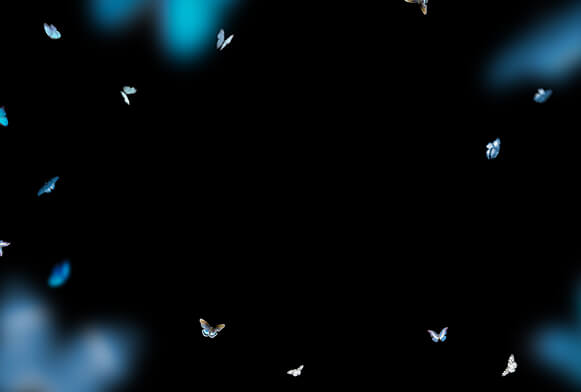 220 FREE Butterfly Overlays For Photoshop