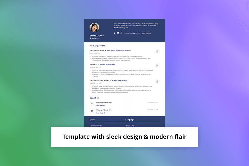 cakeresume professional template