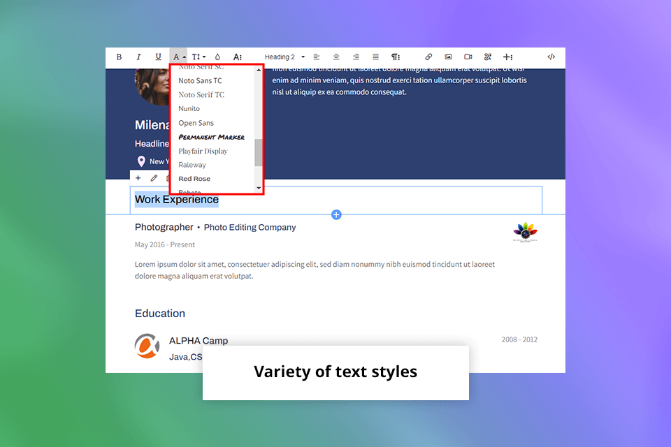 cakeresume text styles