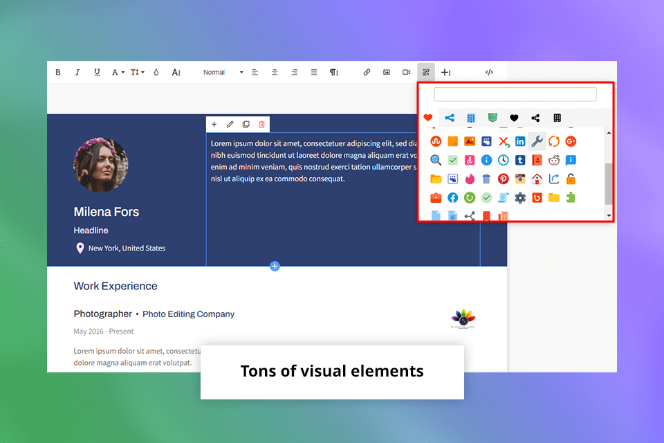 cakeresume visual elements