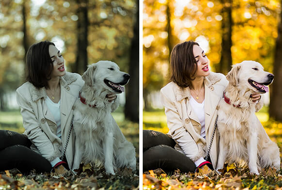 Как сделать коричневый пресет в фотошопе