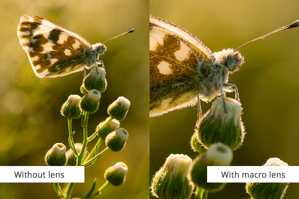 can ai replace a phone camera lens