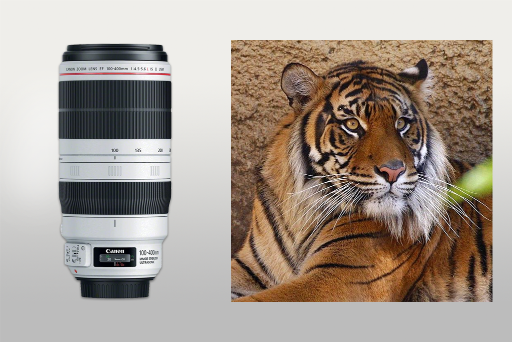 canon ef 100-400mm l is ii usm lens example
