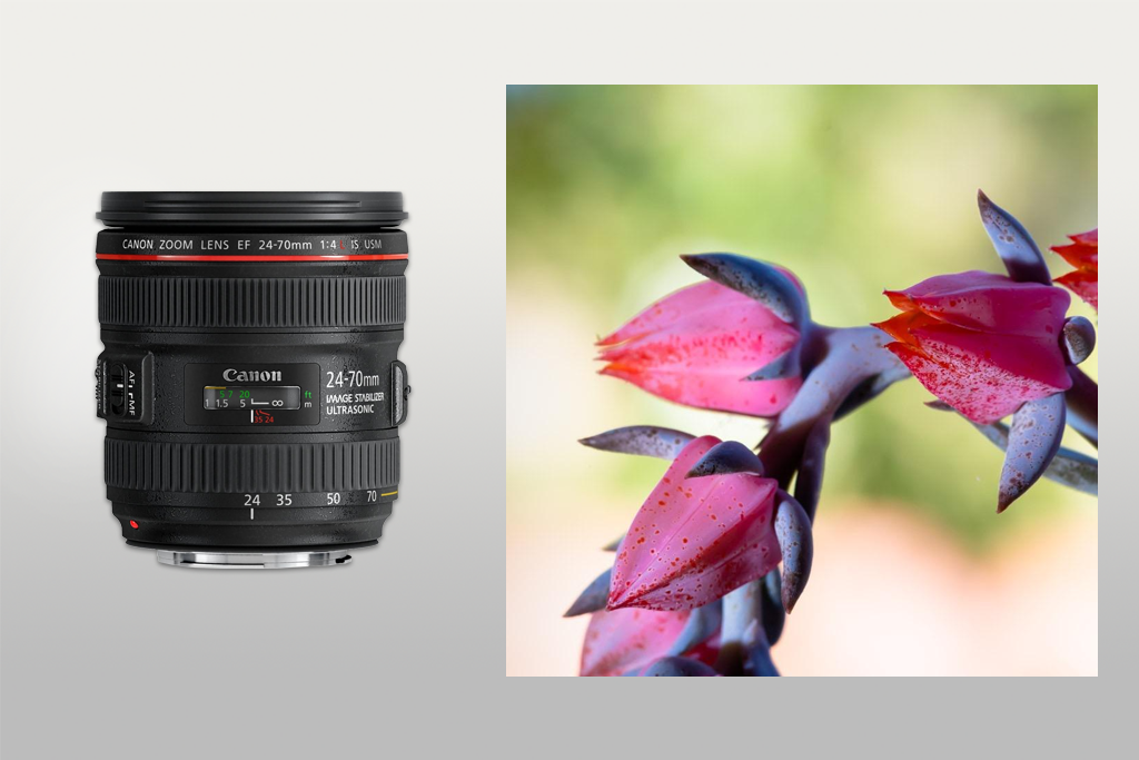 canon ef 24-70mm f/4.0l is usm macro lens for canon
