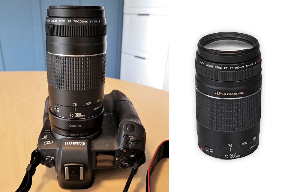 canon ef 75-300mm f/4-5.6 iii canon rebel accessories