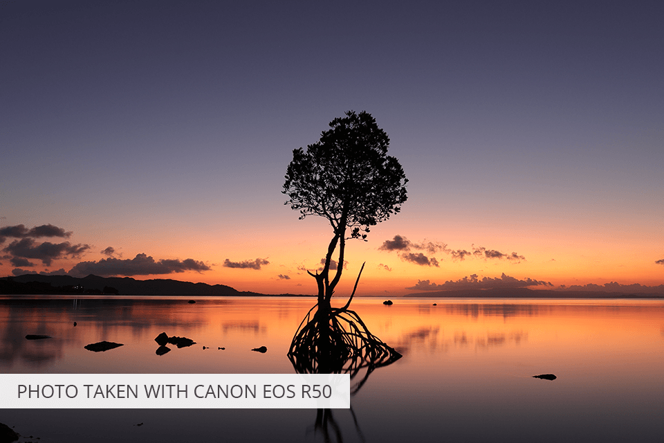 canon eos r50 camera under 1000 dollars photo sample