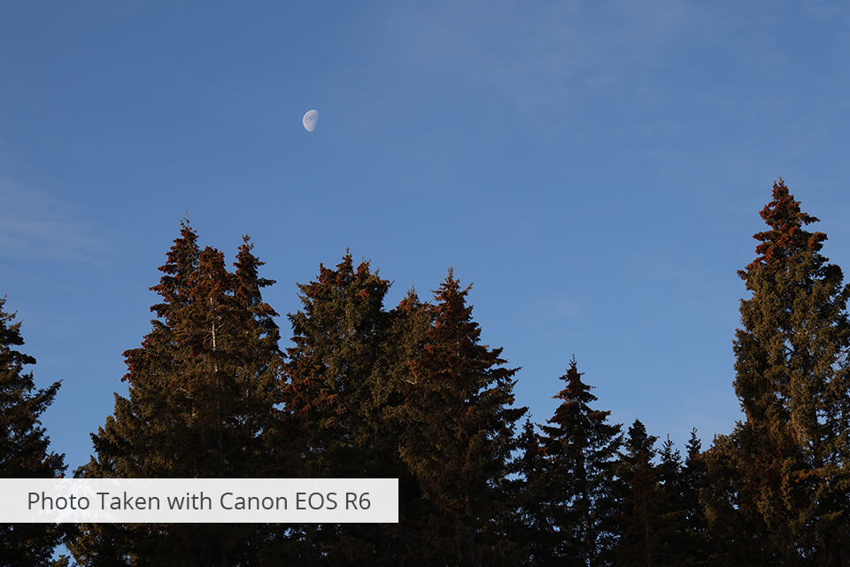 amostra de foto da câmera canon eos r6 com pouca luz