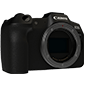 canon eos r8 canon camera