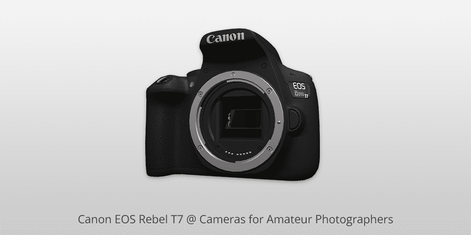10 Best Cameras for Amateur Photographers to Buy in 2022