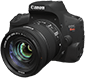 canon eos rebel t7 camera for macro photography for beginners 3d