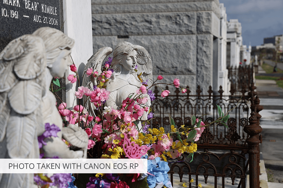 canon eos rp camera under 1000 dollars photo sample